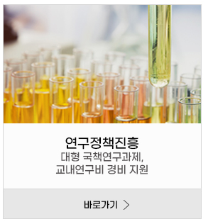 연구정책진흥