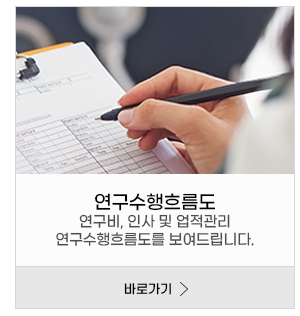 연구수행흐름도